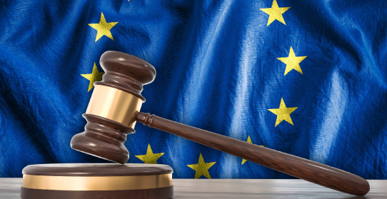 Mandato d'arresto europeo e ricorso per cassazione: il difficile confine tra vizio di motivazione e violazione di legge